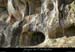 20090307_baumebouchas33
