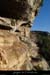 20151108_baumebouchas2