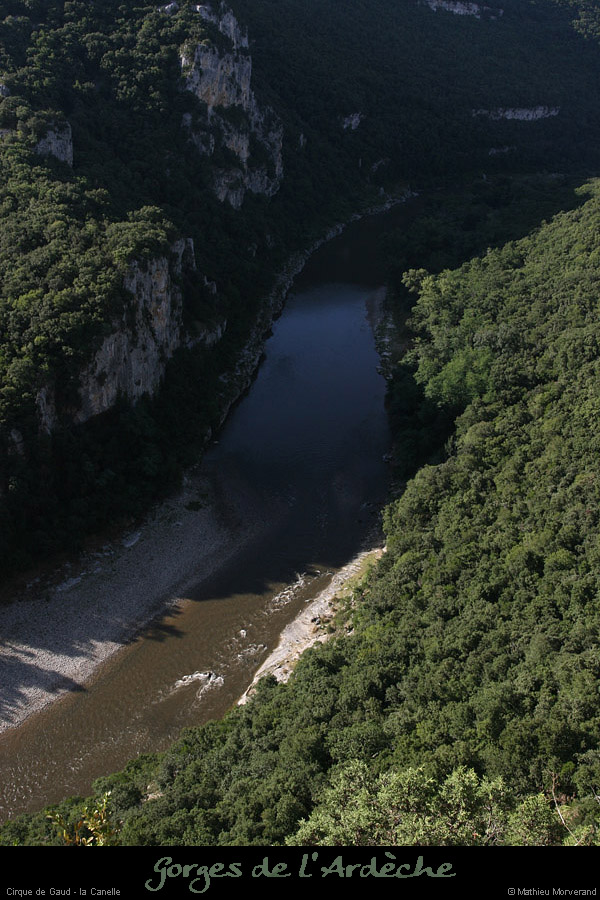 20080814_021gaud