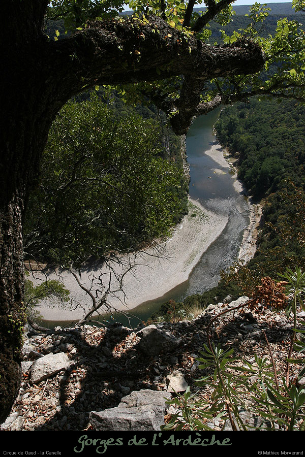 20090820_caneledevireint2