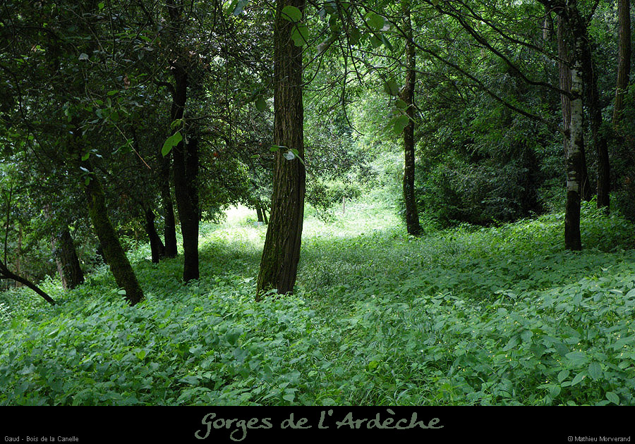 20090609_gaud_avalbivouac