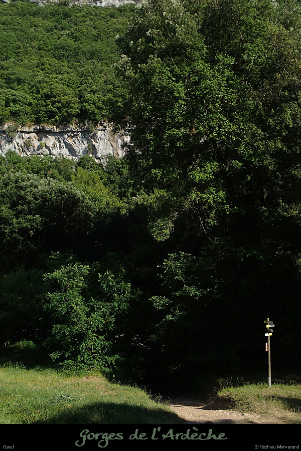 20150531_gaud2