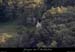 20080927_gaud_chateau