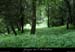 20090609_gaud_avalbivouac
