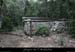 20090721_gaud_charbonniere