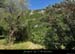 20150531_gaud1