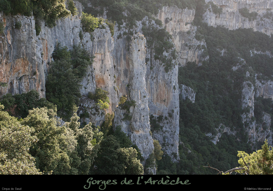 20080814_005gaud
