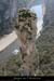 20080214_ciquegaudnordaiguille2