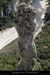 20090820_aiguillecirquegaud2