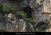 20070608_gaudgrdebaume