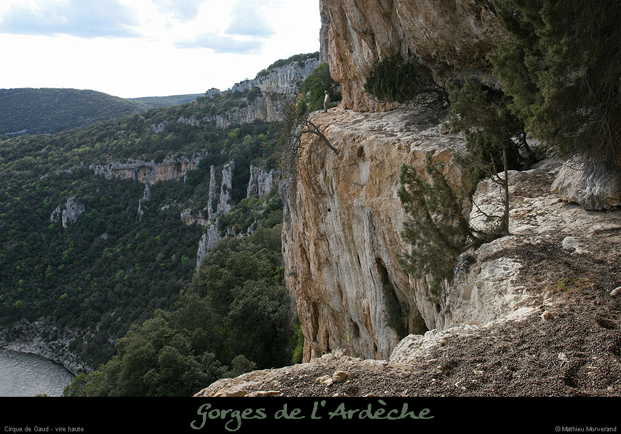 20080419_gaud_virehtepresgrdebaume6