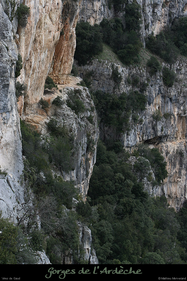 20100327_gaud_virecaprine2