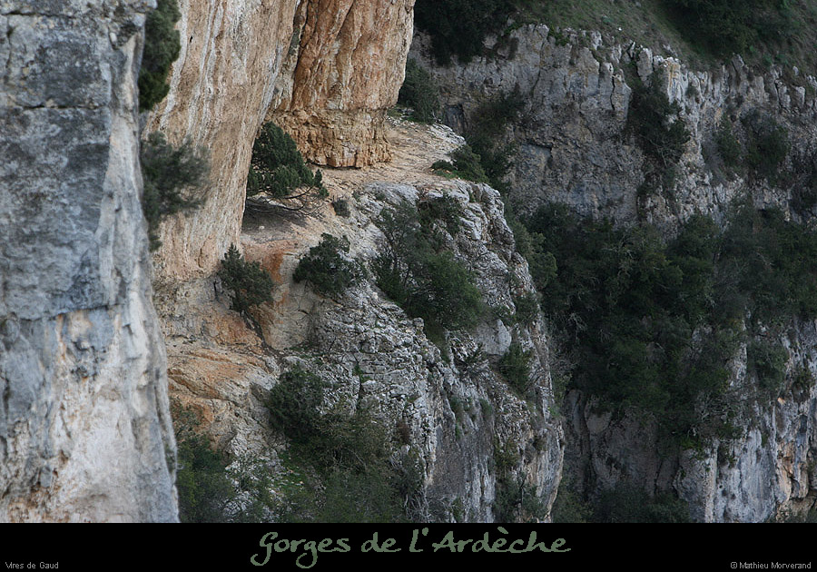 20100327_gaud_virecaprine3