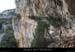 20080419_gaud_virehtepresgrdebaume4