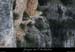 20100327_gaud_virecaprine3