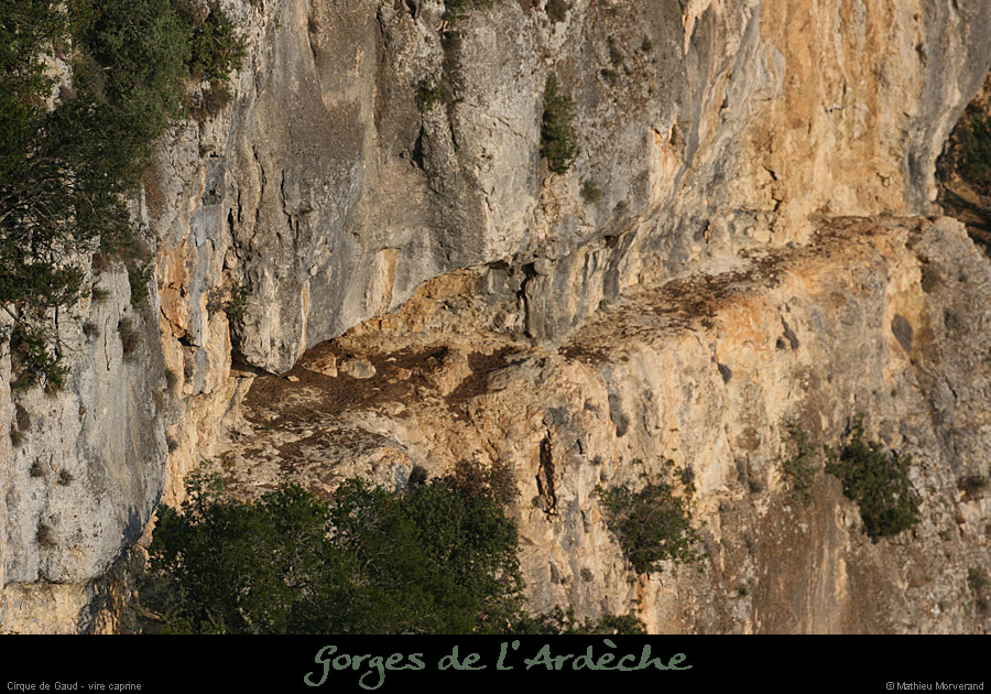 20080927_cirquegaud_vireint1