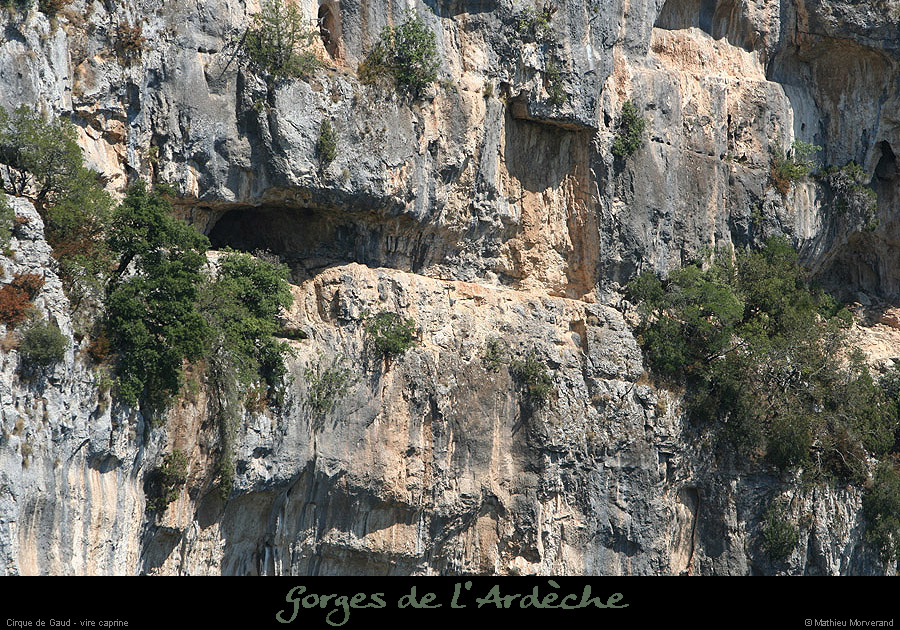 20090820_cirquegaudvirecaprine