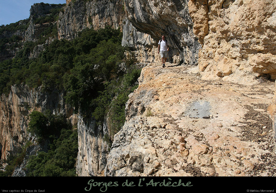 20090820_virecaprineint04