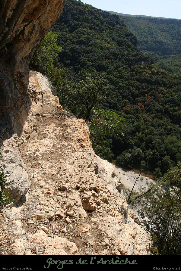 20090820_virecaprineint08