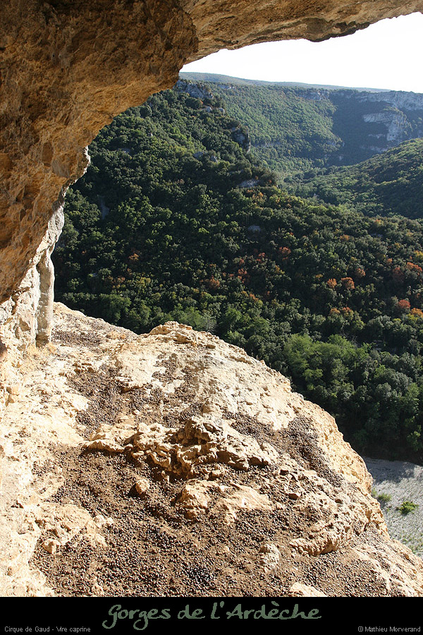 20090830_cirquegaud_virecaprine1