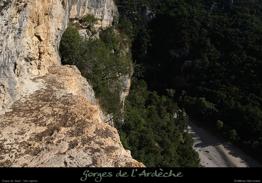 20090830_cirquegaud_virecaprine3