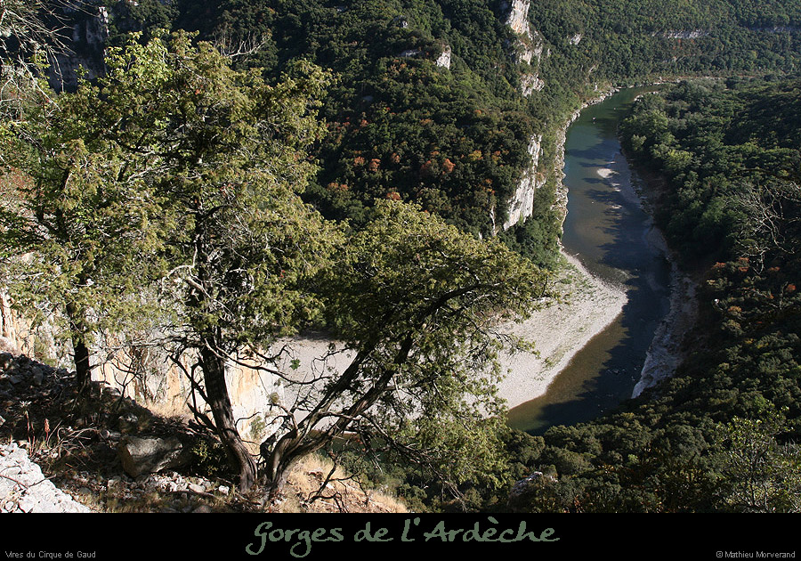 20090830_cirquegaud_vireint