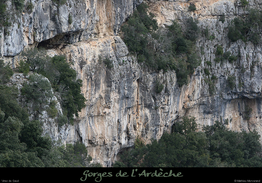 20100327_gaud_virecaprine1