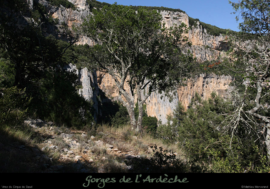 20100829_cirquedegaud_vireintparw4