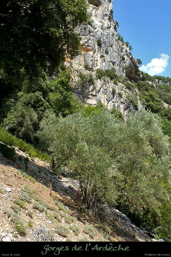 20120724_cirquegaud_vire2