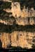20081116_gaud_vireint