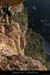 20081207_cirquegaud_virecaprine2