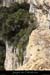 20090307_cirquegaudvireint19
