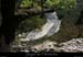 20090820_caneledevireint6