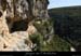 20090820_virecaprineint01