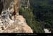 20090820_virecaprineint03