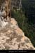 20090820_virecaprineint07