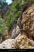 20120624_cirquegaud_vireint_lierre