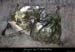 20080301_gaud_vireinf_grotte1
