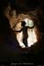 20080302_cirquegaud_vireinf_grotte1