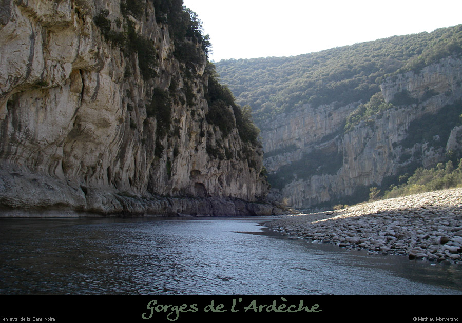 20080318_dtnoireav1