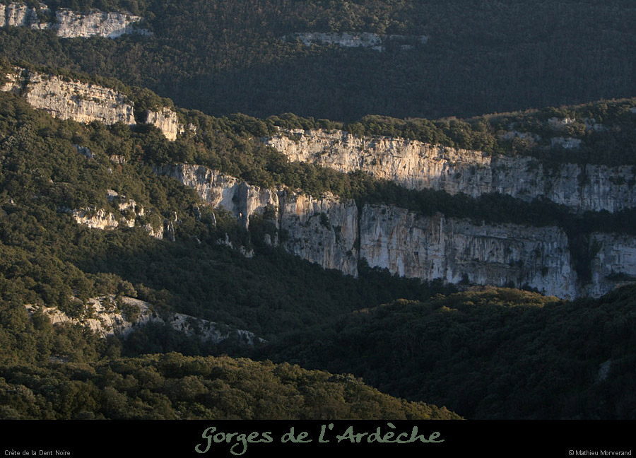 20111229_cretedentnoiredepuisserredetourre2