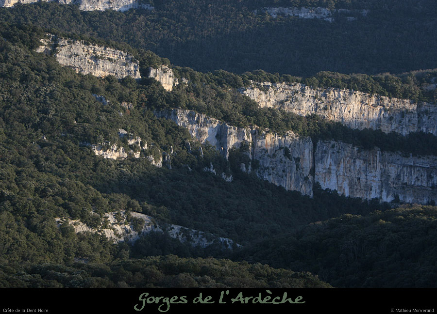 20111229_cretedentnoiredepuisserredetourre3
