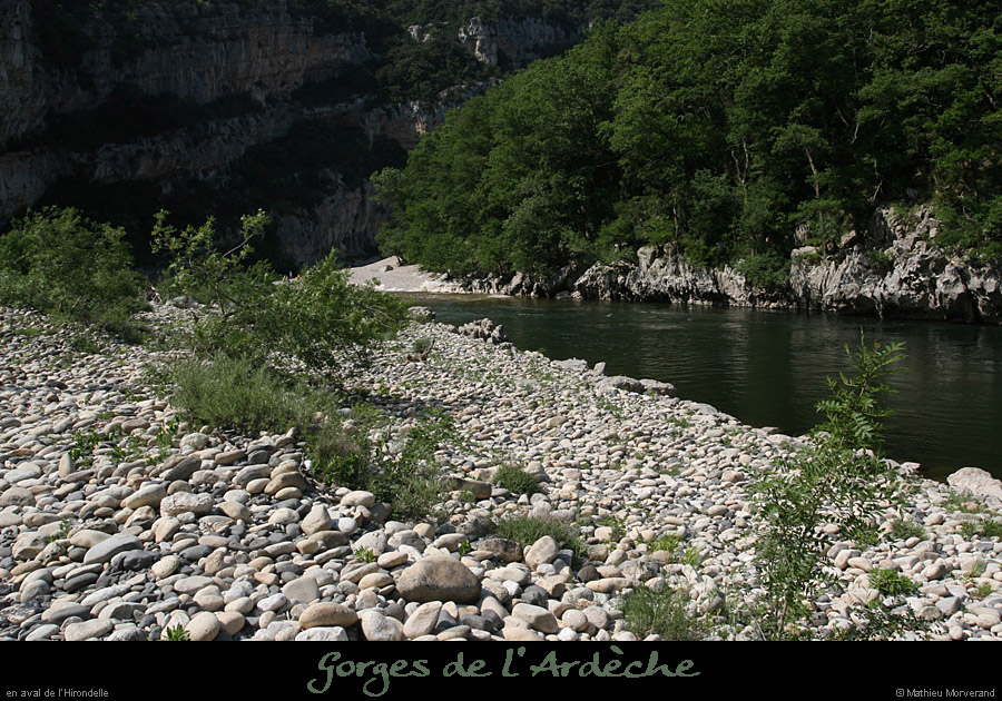 20110427_hirondelleav1