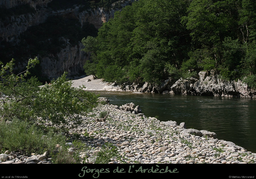 20110427_hirondelleav2