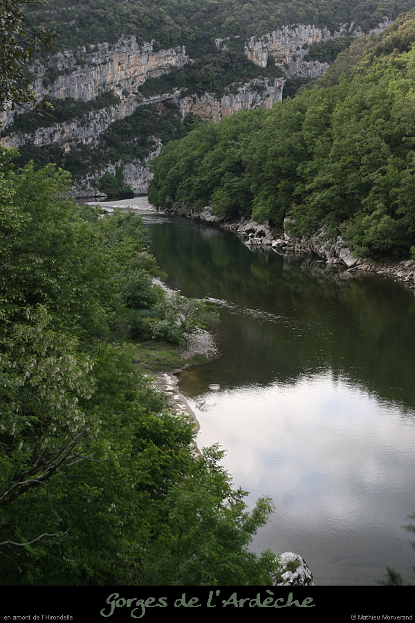 20110427_hirondelleav5