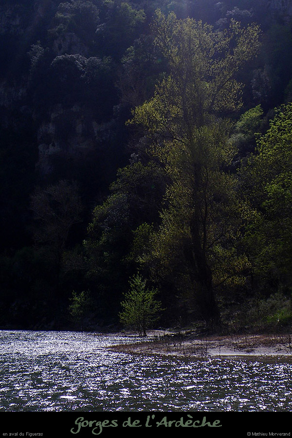 20100411_avfiguerasrd