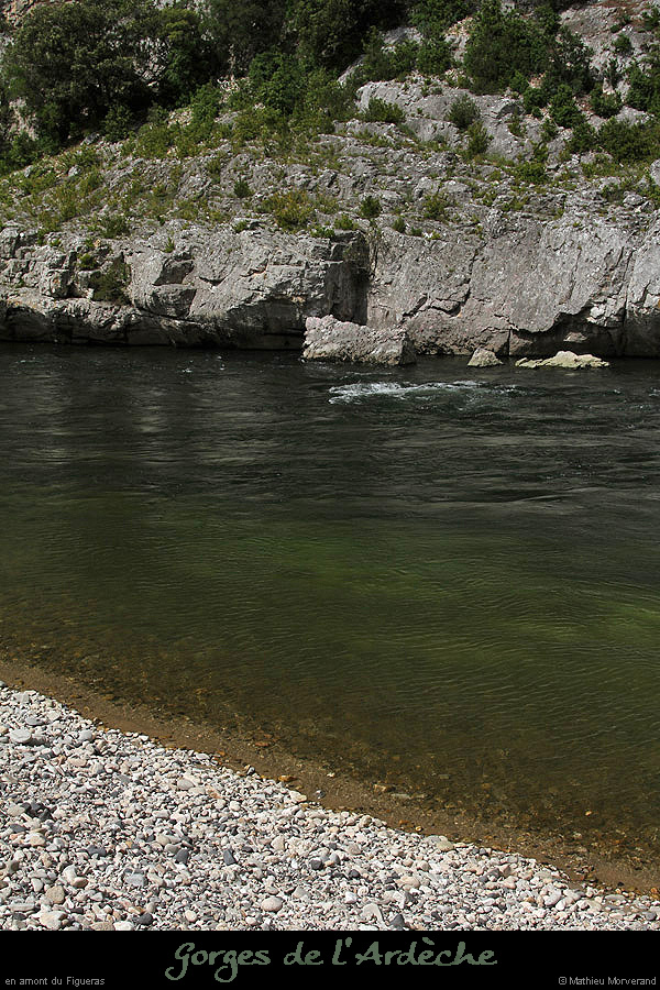 20130602_amfiguerasparrd1
