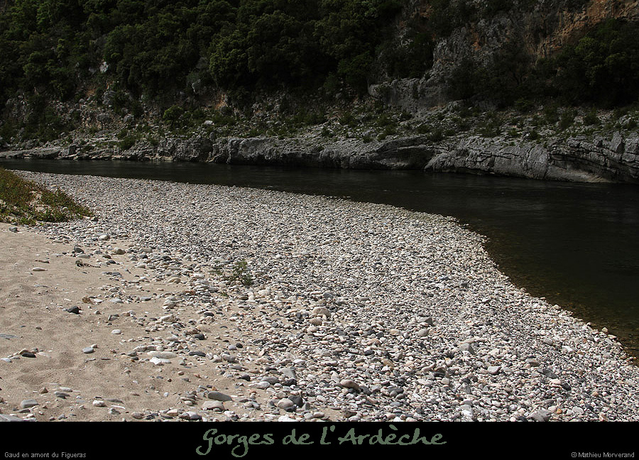 20130602_amfiguerasparrd2