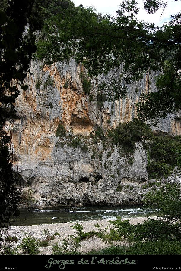 20130602_figuerasparrd01