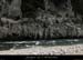 20130602_figuerasparrd03